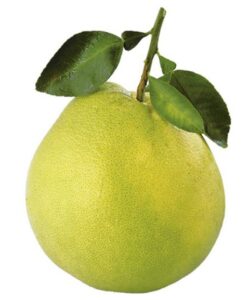 Pomelo 1/pc (2-3kg)