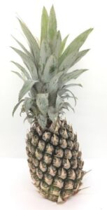 สัปรดภูเก็ต 1/pic (1.5-2kg)